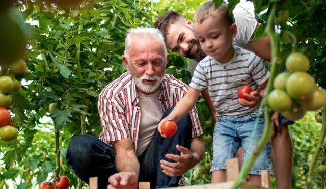 Kosten für ein Testament